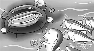 充電市場(chǎng)巨頭博弈：國(guó)網(wǎng)撤了 鯰魚(yú)來(lái)了 鯊魚(yú)也來(lái)了