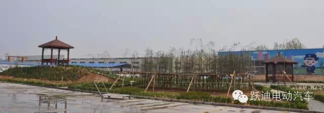 春暖花開、綠色躍迪---躍迪集團(tuán)綠化工作進(jìn)行中！