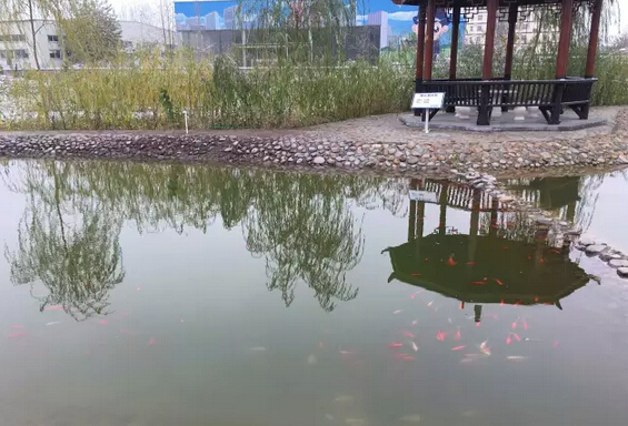 下雪天的躍迪集團(tuán)，咱也跟跟風(fēng)。。。