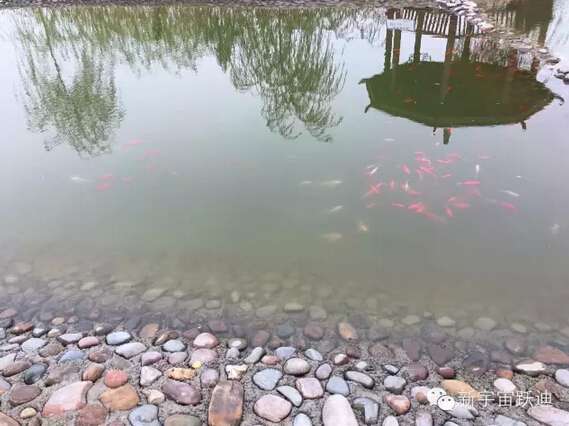 下雪天的躍迪集團(tuán)，咱也跟跟風(fēng)。。。