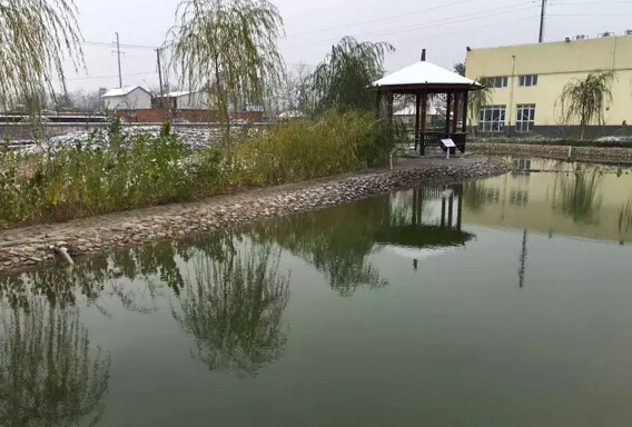 下雪天的躍迪集團(tuán)，咱也跟跟風(fēng)。。。