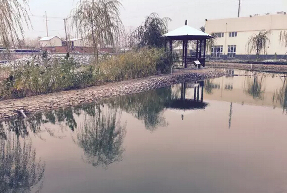 下雪天的躍迪集團(tuán)，咱也跟跟風(fēng)。。。