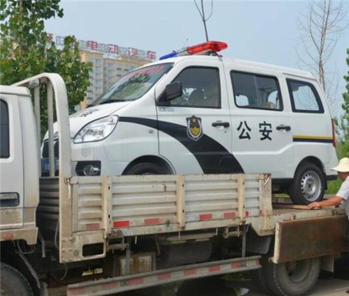 電動(dòng)巡邏車價(jià)格