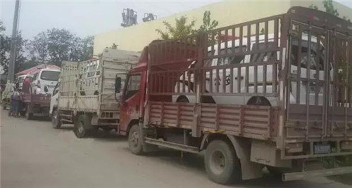 電動(dòng)巡邏車報(bào)價(jià)