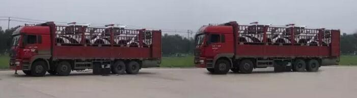 躍迪移動城管執(zhí)法站、躍迪電動巡邏車大批量發(fā)往首都北京——有躍迪，才安心