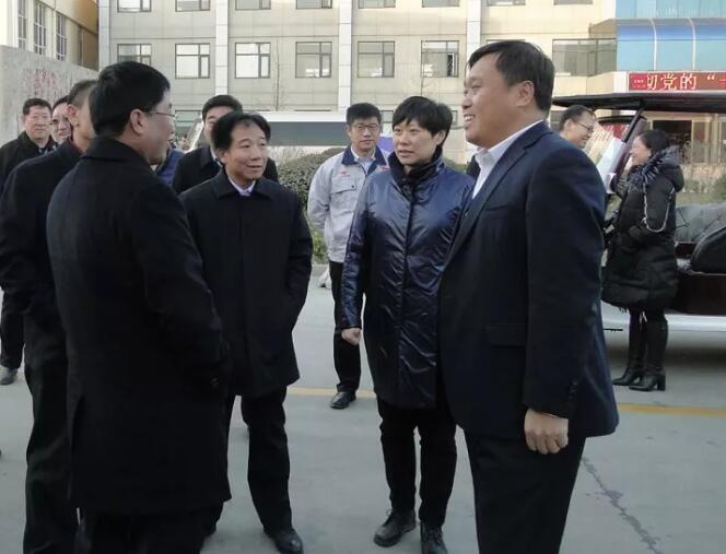鹿泉區(qū)四大班子及各級領(lǐng)導觀摩考察躍迪集團